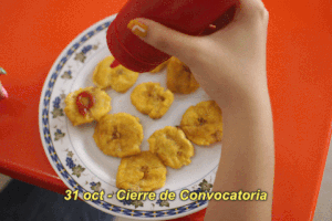 panalandia festival cine film festival convocatoria GIF