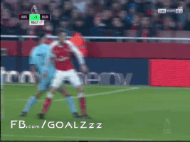 naderibrahim  GIF