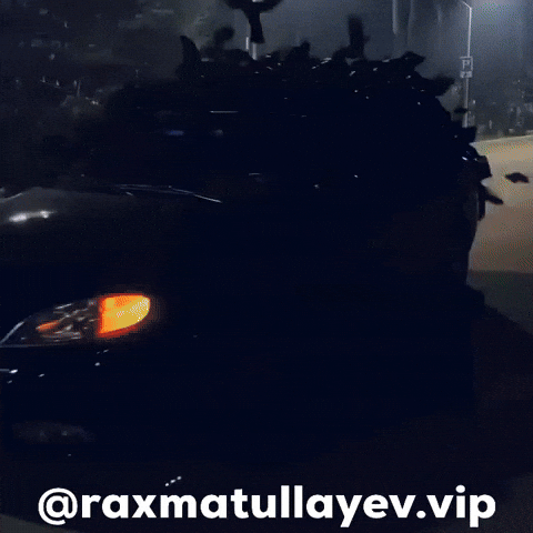 Raxmatullayev GIF