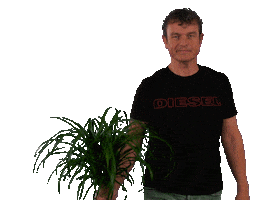 Kwekerij Duijn-Hove Sticker