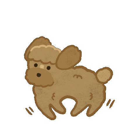 Poodle Wolsey Sticker