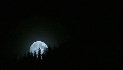 Moon Dark GIF - Find & Share on GIPHY