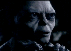 confused lord of the rings GIF