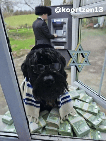 Dog Jewish GIF