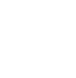 Nissan Russia Sticker