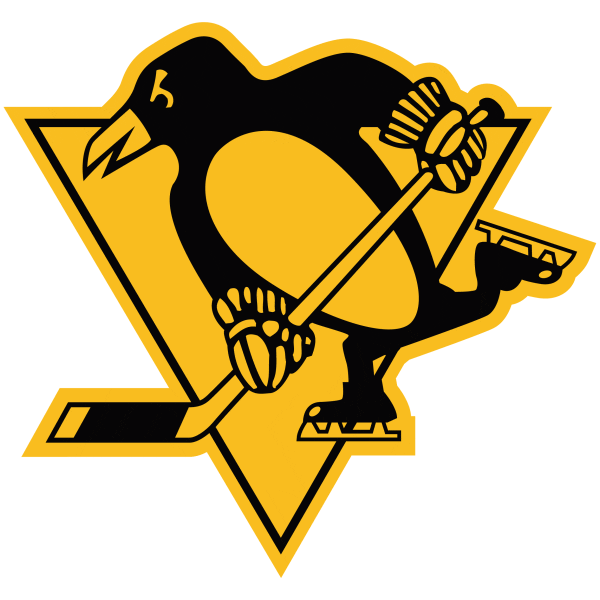 Usa Hockey Pittsburgh Sticker by World Hockey Group