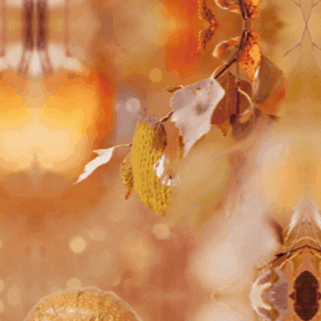 Fall Autumn GIF by TeaCosyFolk