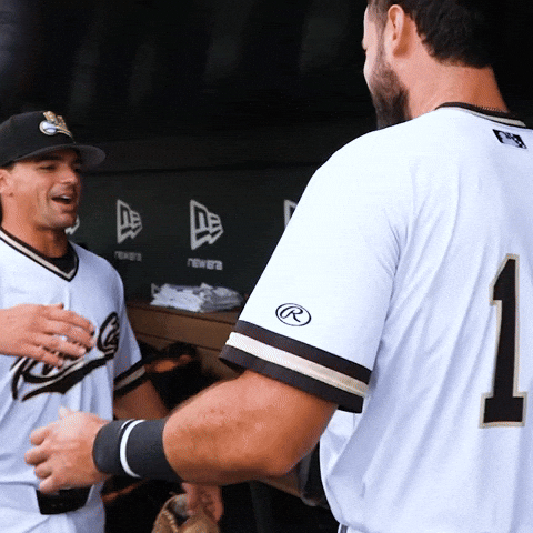 Baseball Hug GIF by Sacramento River Cats