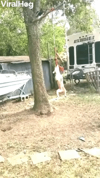 Dog Refuses to Let Go of Rope Swing