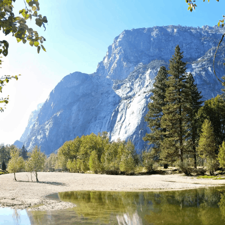 Vajira Samararatne GIF