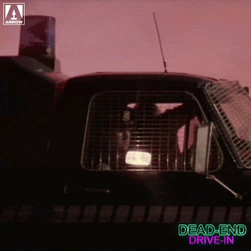 Driving Dead End Drive-In GIF by Arrow Video