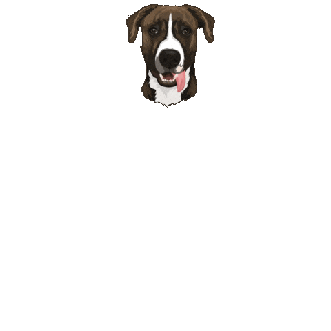 Dog Food Sticker by Snacks Homemade Treats