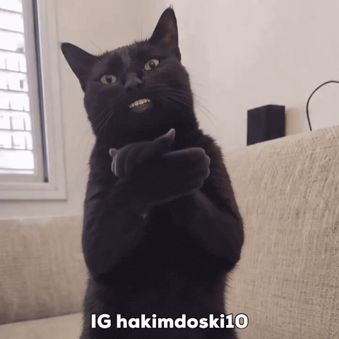 Cat Clap GIF