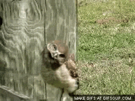 200.gif