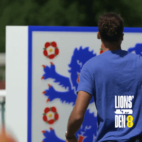 Three Lions Celebration GIF by EE - Find & Share on GIPHY