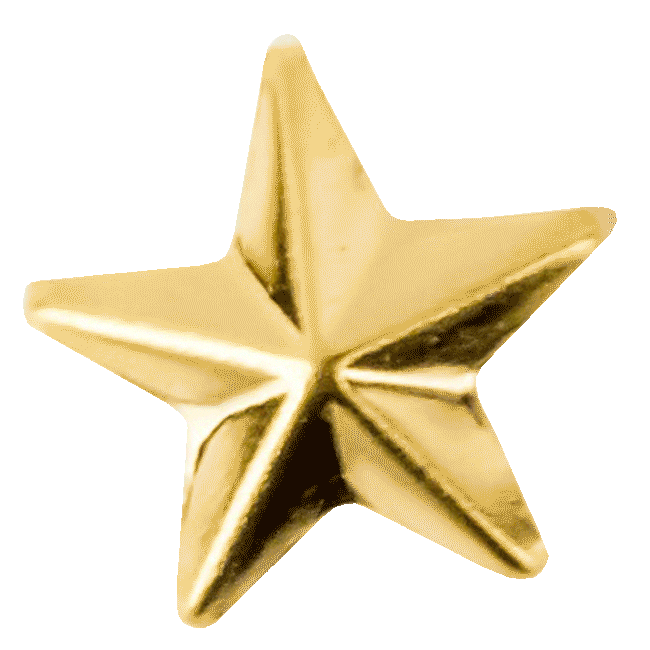Gold Star Space Sticker by Nicole Miller