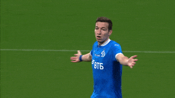 Football Футбол GIF by FC Dynamo Moscow
