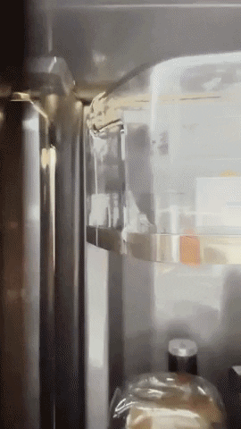 Livingwithlady GIF