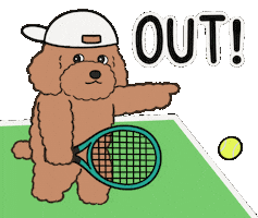 Dttennis Sticker by DT