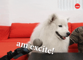 National Puppy Day GIF by BuzzFeed