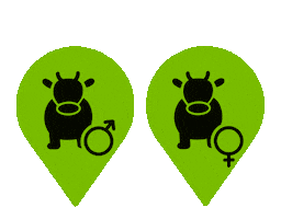 Cow Toro Sticker by Digitanimal