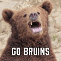 Go Bruins