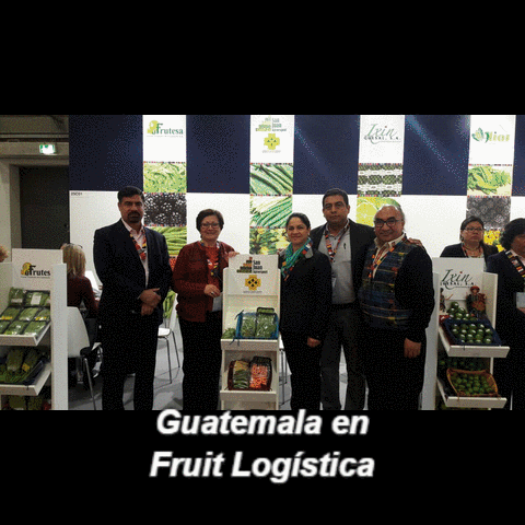 DataExport fruitlogistica GIF