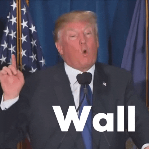 Wall GIF