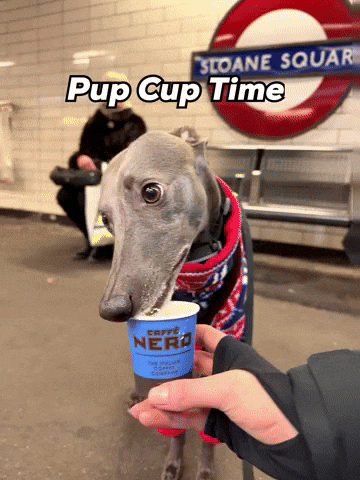 Nero GIF