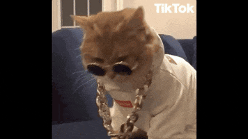 Kittylove GIF