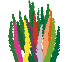 Flower Plants Sticker by beautyseasons_heide