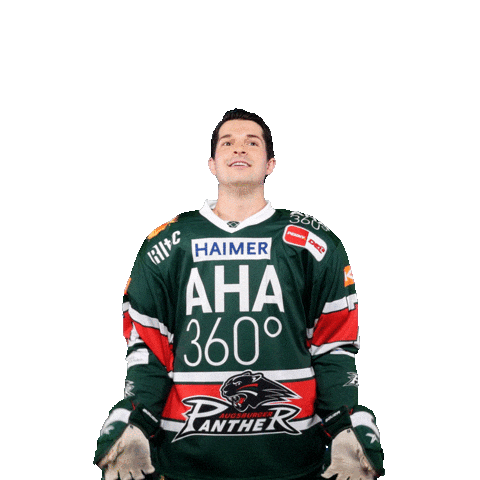 Sticker by Augsburger Panther Eishockey GmbH