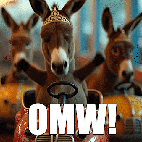 Buckle Up Lets Go GIF by Redideo Studio - Creative Agency San Diego