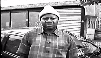 Viva La Musica What GIF