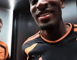 Arsenal GIF by memes