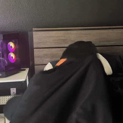 Scared Good Morning GIF