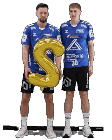 Handball Sticker by HSGSpradow