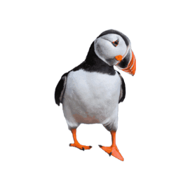 Kneissl Touristik Sticker