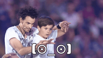 ehrlichbrothers  GIF