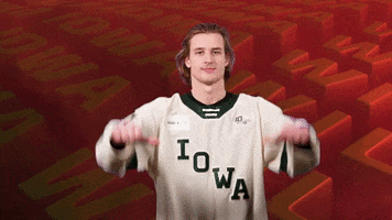 Ice Hockey No GIF by Iowa Wild