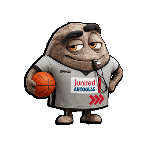 Sport Basketball Sticker by junited AUTOGLAS