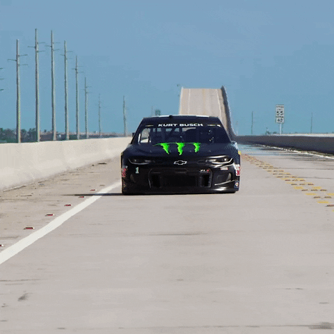 GIF by Monster Energy