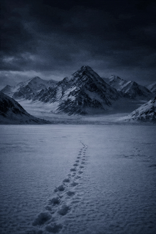 Penguin Mountain GIF