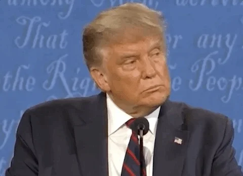 Donald Trump GIF