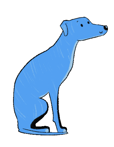 VETO Tierschutz Sticker