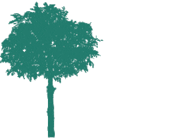 Weaver Arborist Sticker
