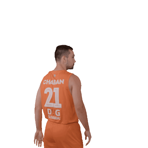 Sport Basketball Sticker by spisskirytieri