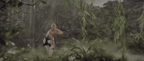 The Shaolin Temple GIF