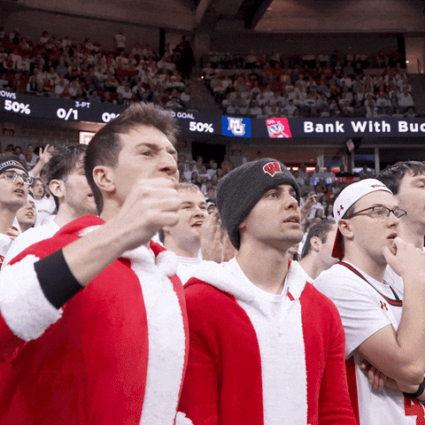 Happy Get Loud GIF by Wisconsin Badgers
