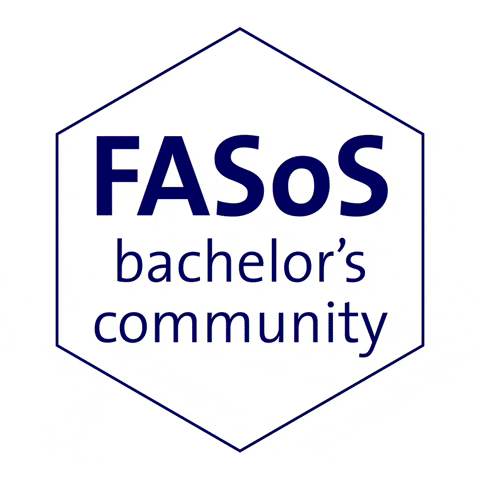 fasosmaastricht GIF